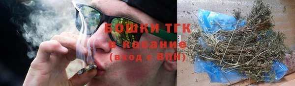 соль ск Каменка