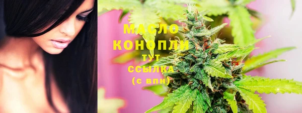 соль ск Каменка