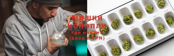 соль ск Каменка