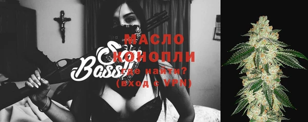 соль ск Каменка