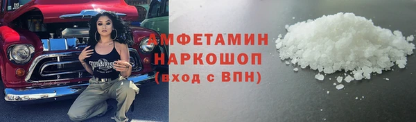 соль ск Каменка