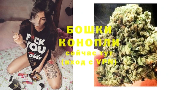 соль ск Каменка