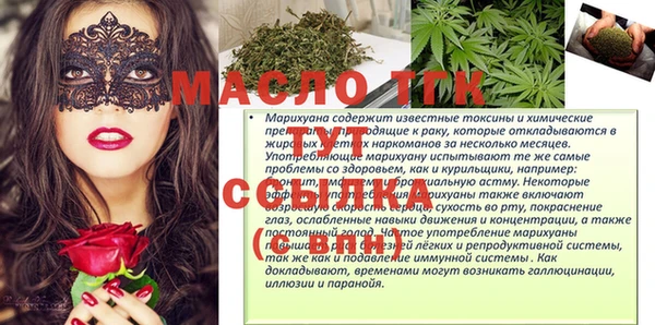 соль ск Каменка