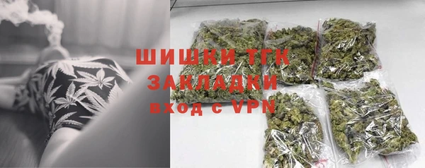 соль ск Каменка